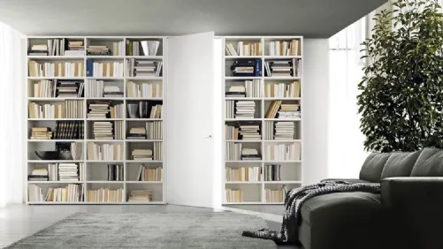 Porta per interni in legno laccato opaco bianco Gea Battente con Stipite di Doal